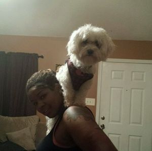 Meet your Posher, Lora